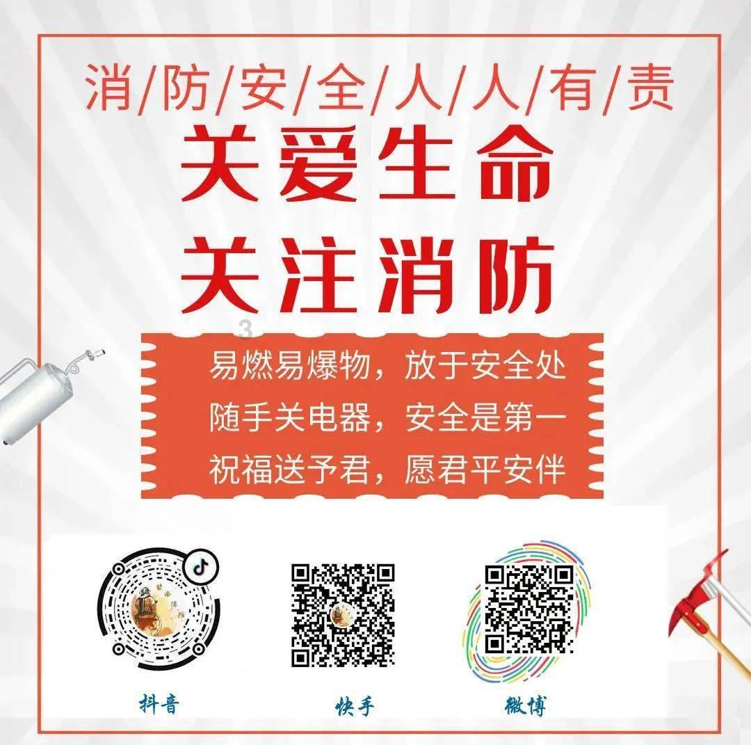 莉莉逃脱记